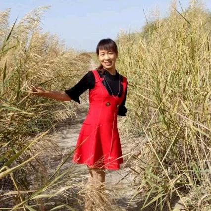 小李农业优选