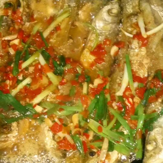 湘M 过客