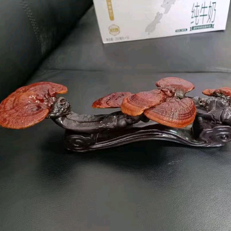 长白山承诺