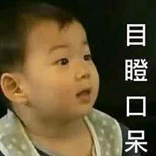 ※《龙》※……