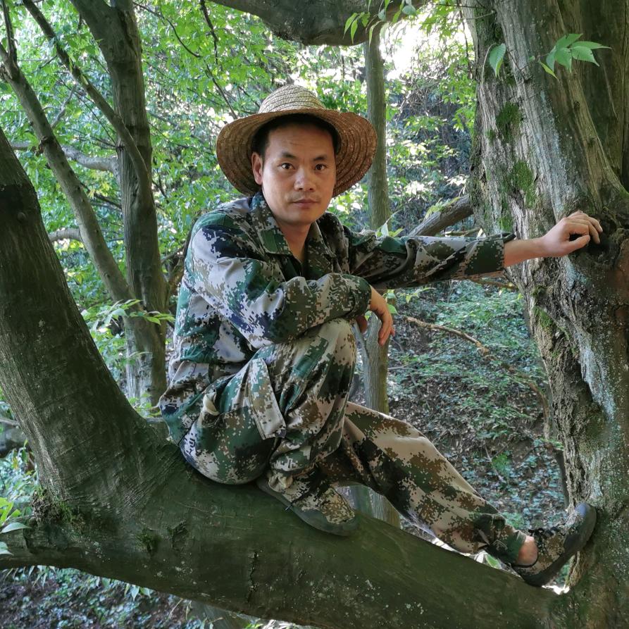 新农人老秦的特产店