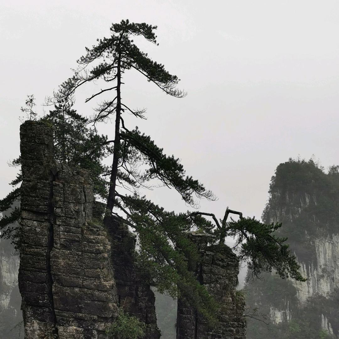 张兆山