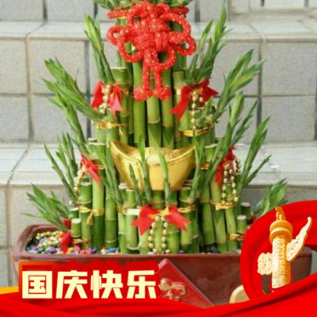 习惯单身