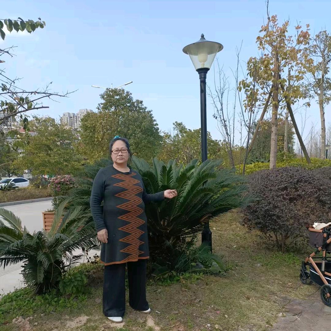 刘赛娇