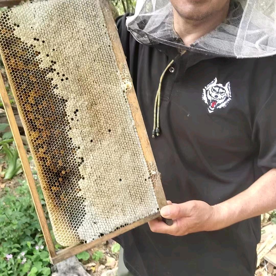 用用