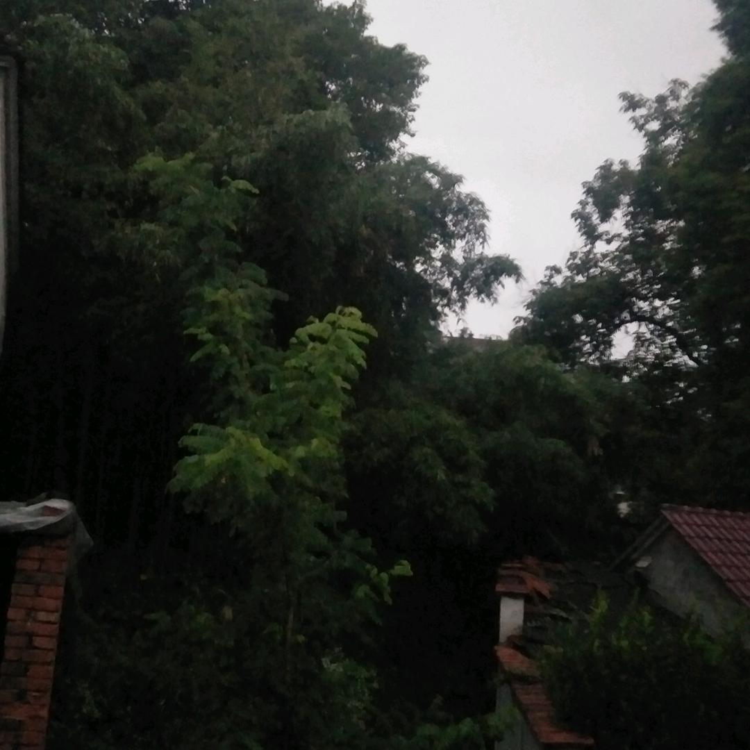 斌武