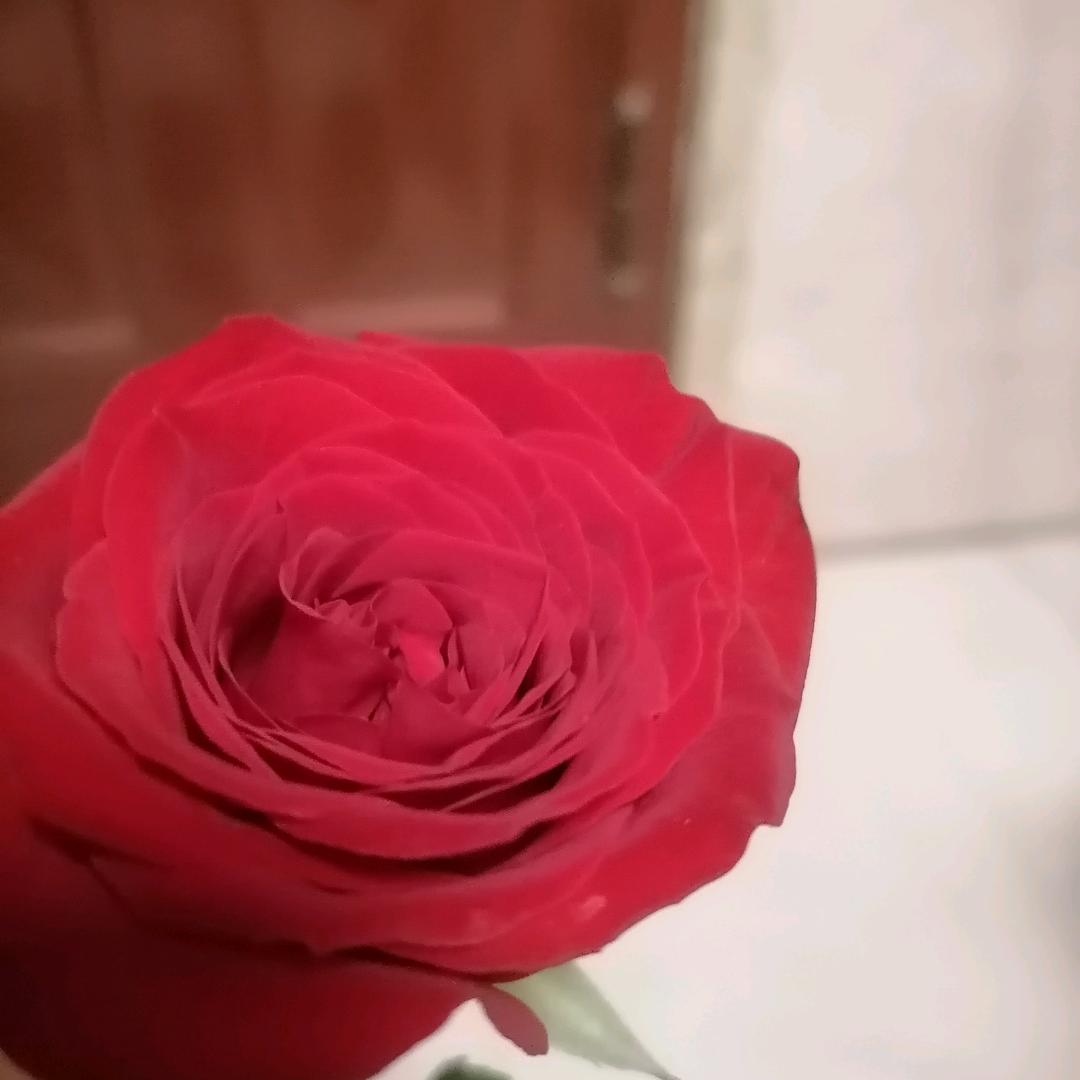 耀妈