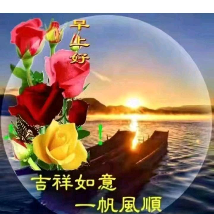 用户339877