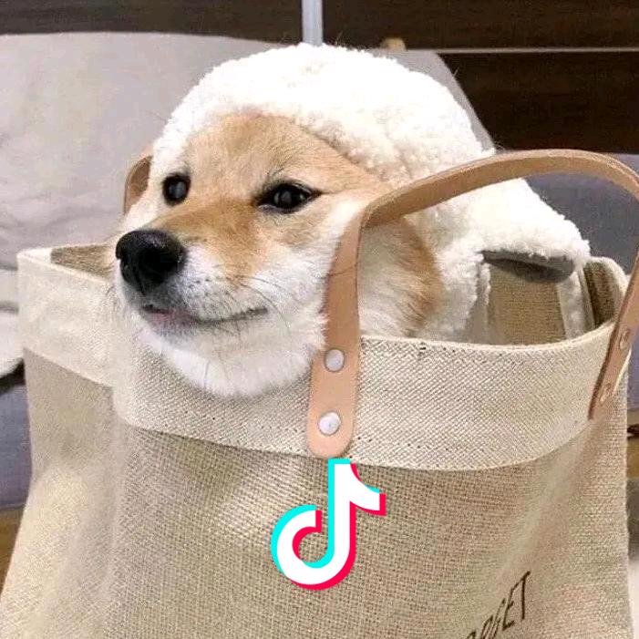 。