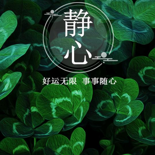 🥀ঞ一路王前₅₂₀💞࿐