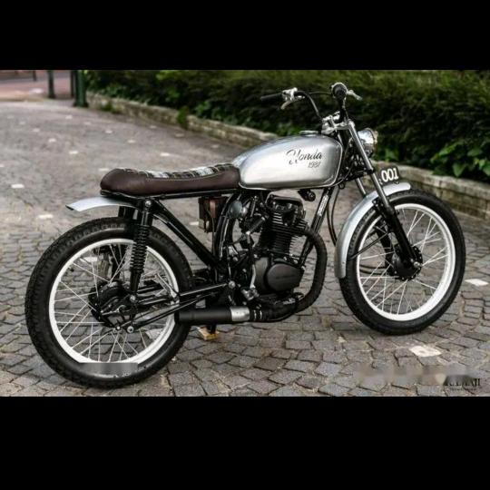 热带芒果之王桂七