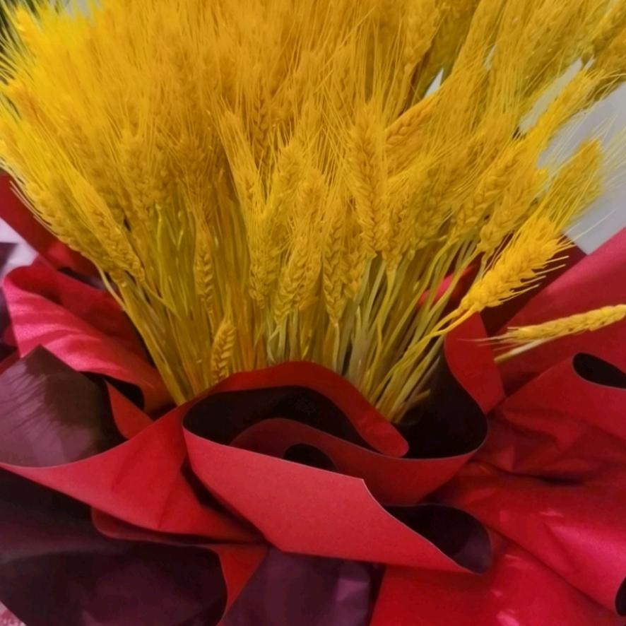 鑫迪世伽？？？？