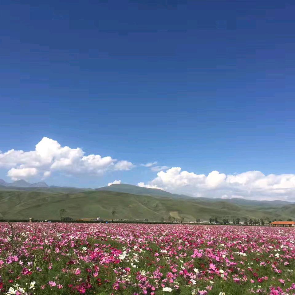 玲儿～