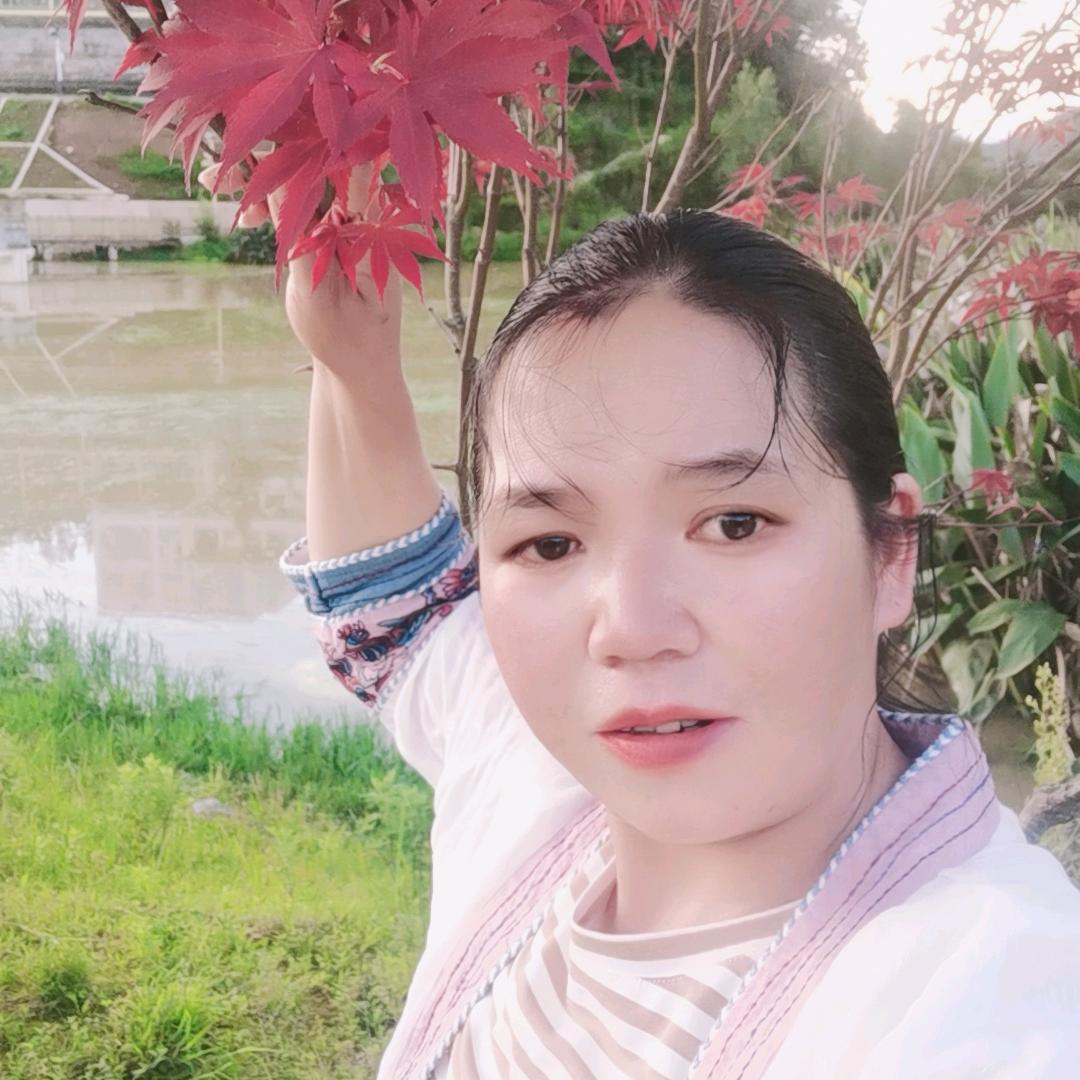 摇银姐（晚20：15）练播