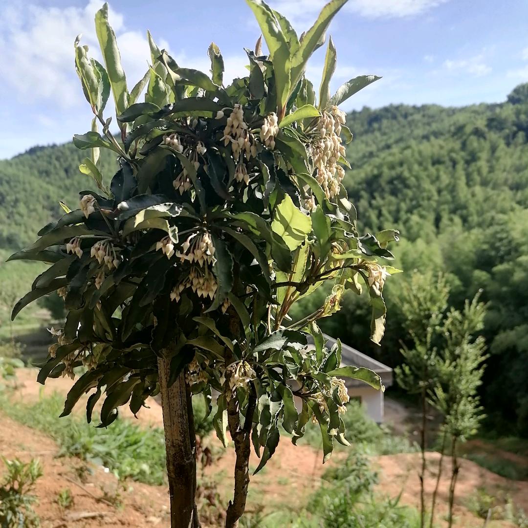 室内、外水电安装