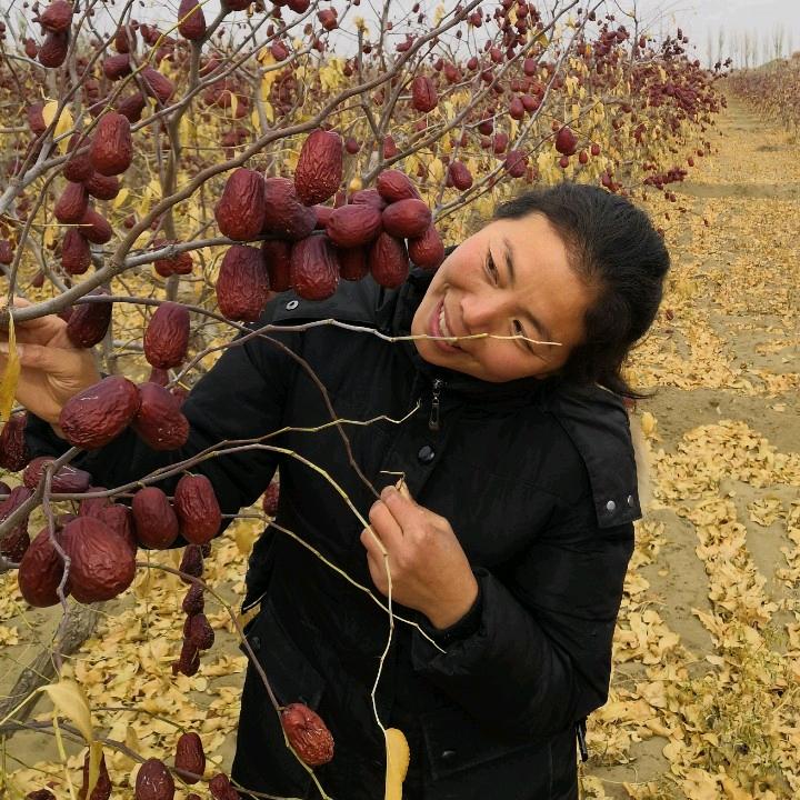 四妹干果