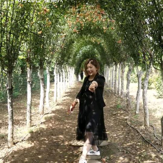 山西森惠源农业发展有限公司