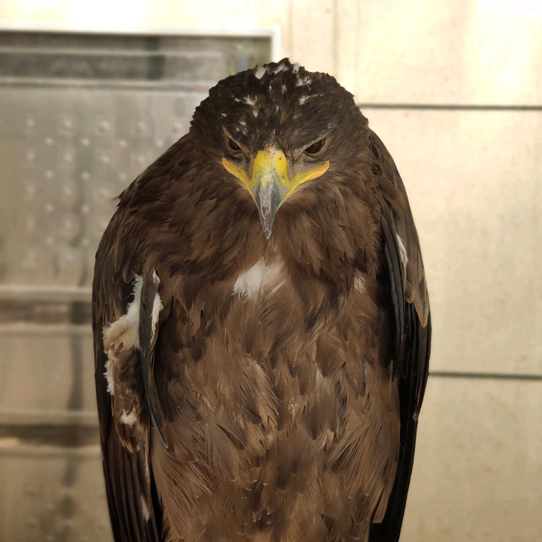 小老弟们生活日记