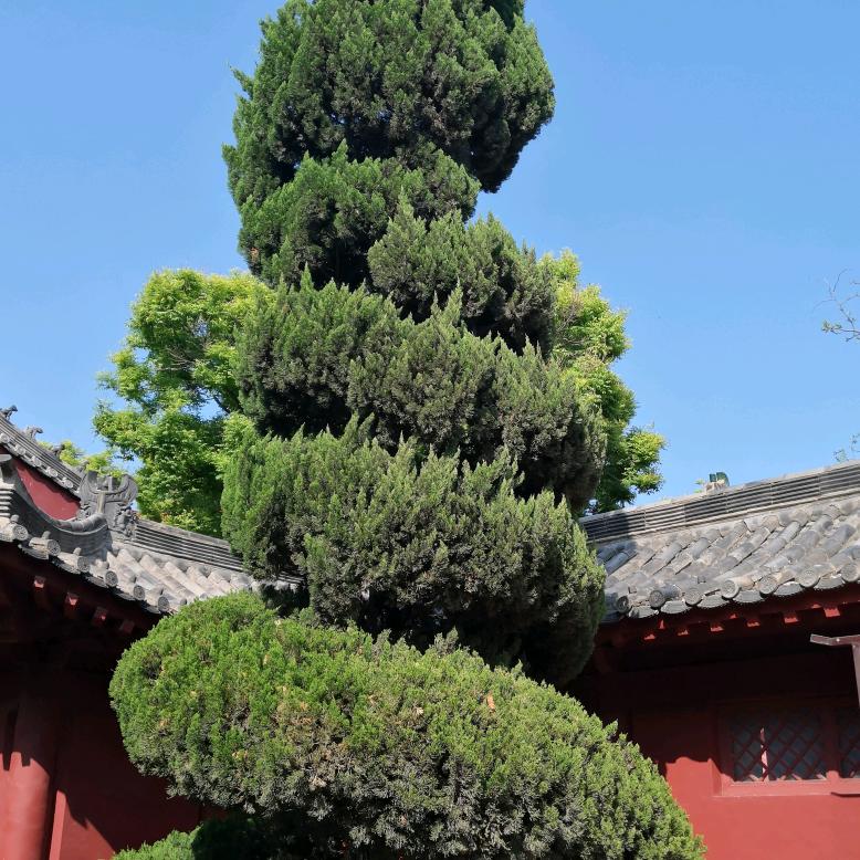 快乐旅途我