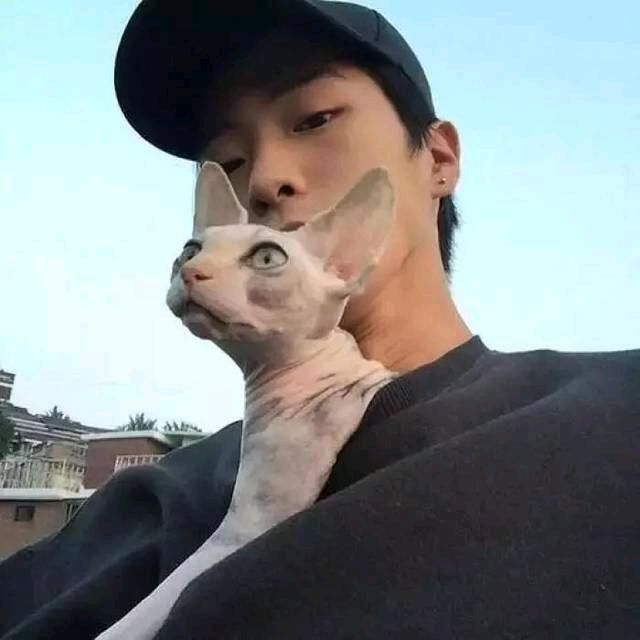 小雷想给雷劈