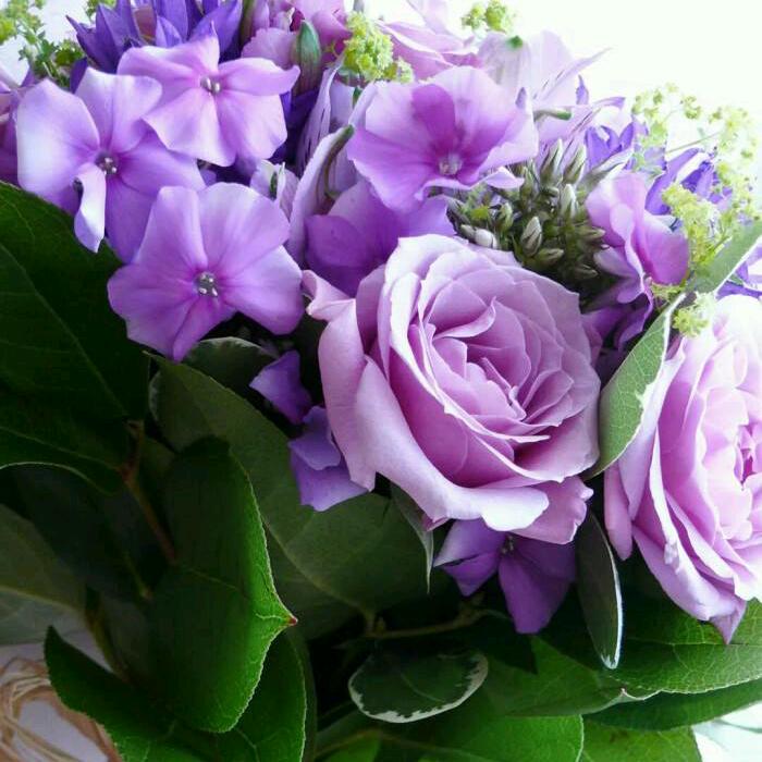 花卉果蔬肥料厂家直销