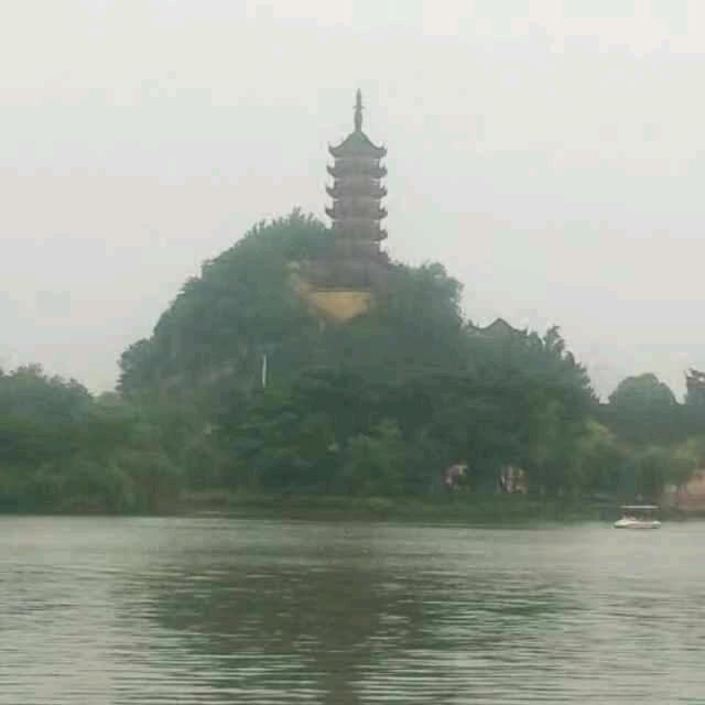 张学*