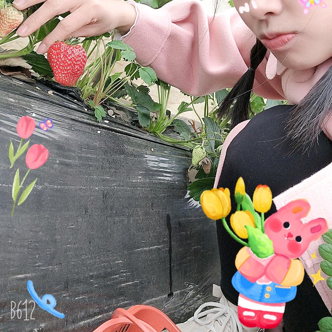 艳