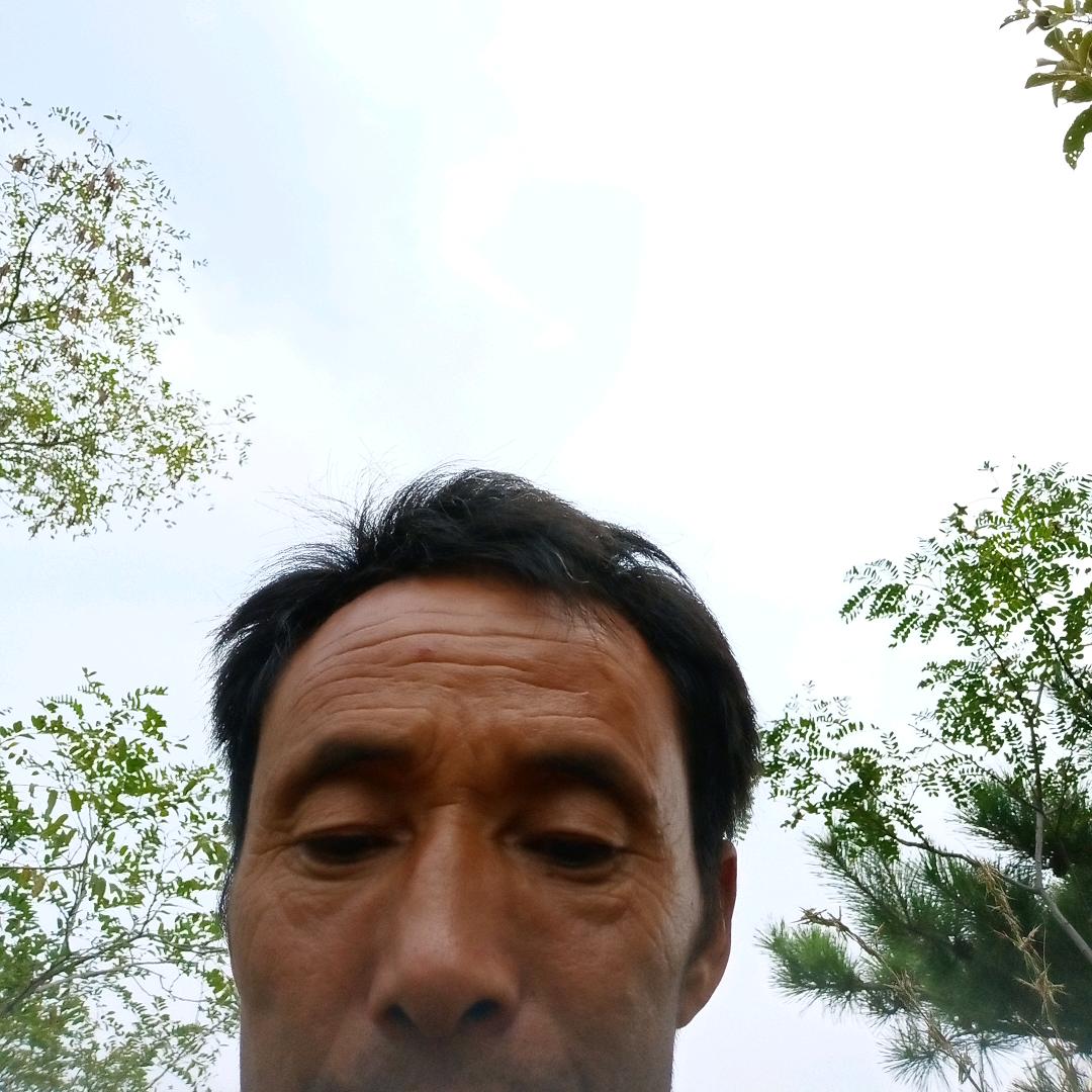 七零后单身老头，
