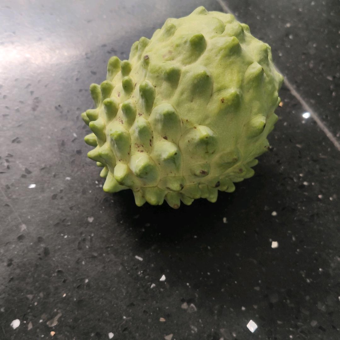 后海有树的院子