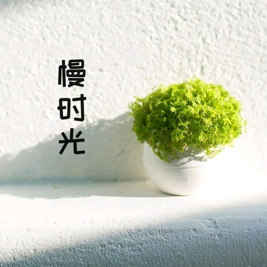 微微一笑