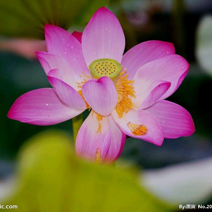 佛保众生平安幸福💖161