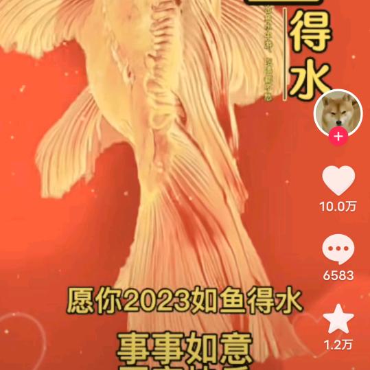 泓锐起重机械租赁有限公司