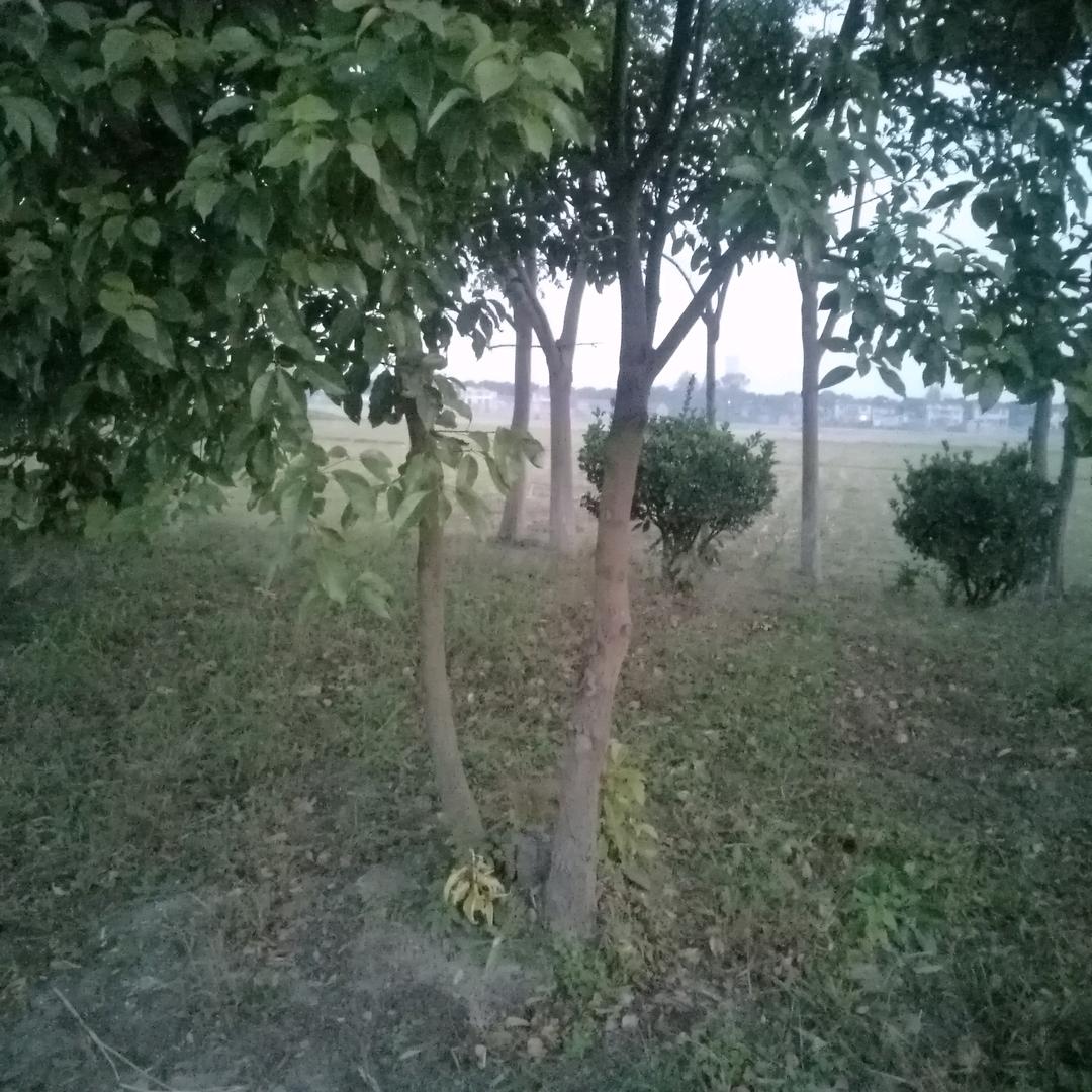 小会
