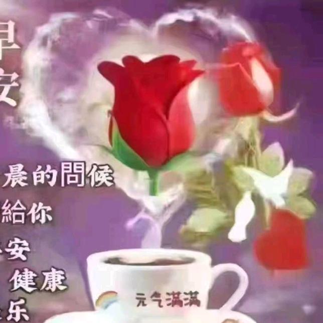 好听😜