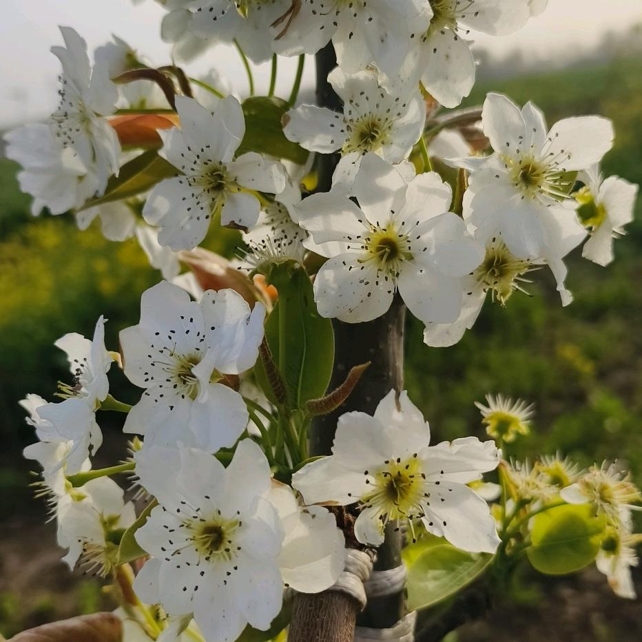 我在等你275505402