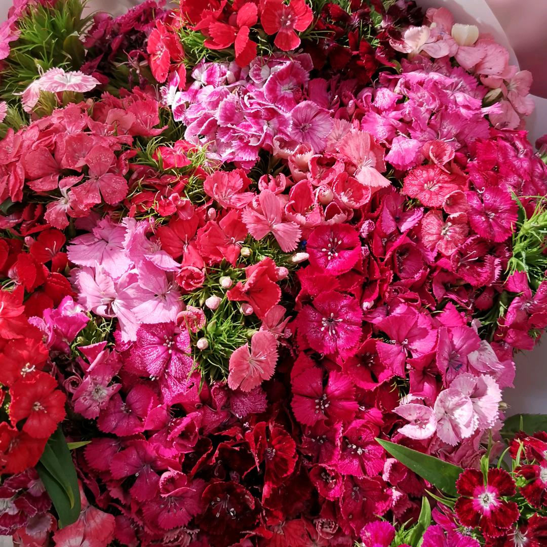 金谷盛德上善若水