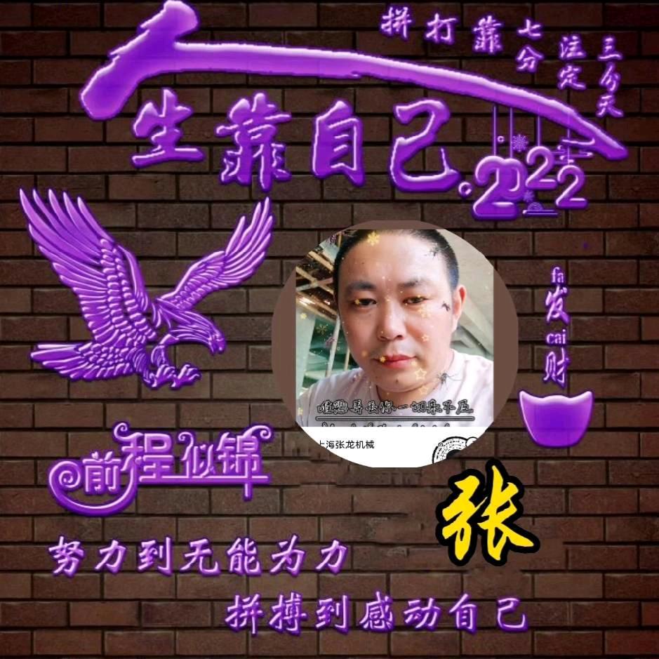 上海张龙机械