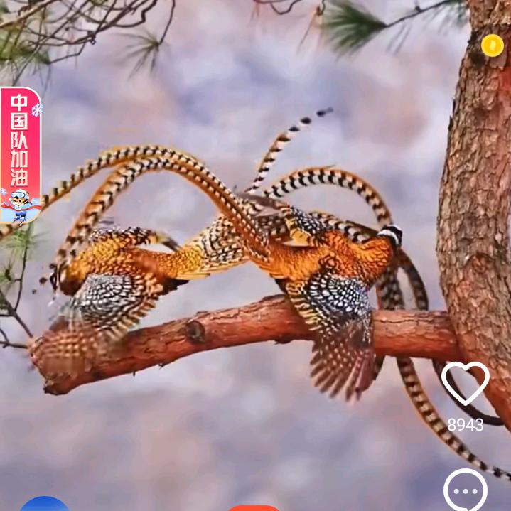 我心无悔