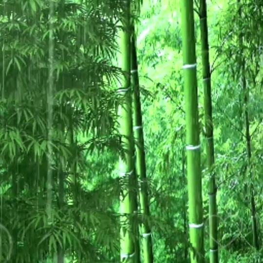 用户347749