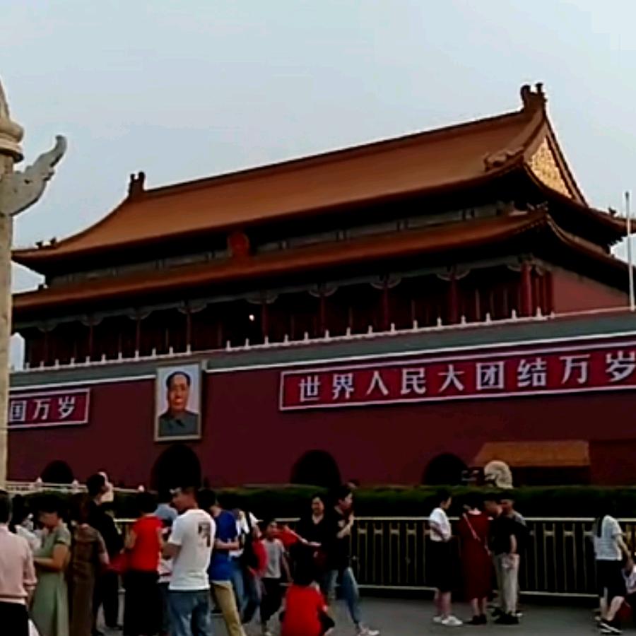 林全