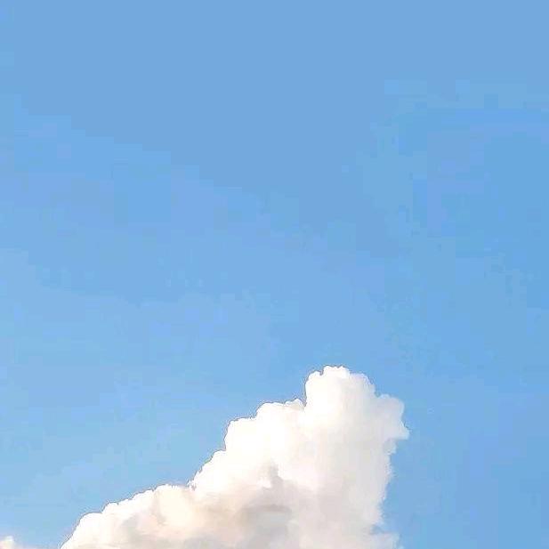 夏波