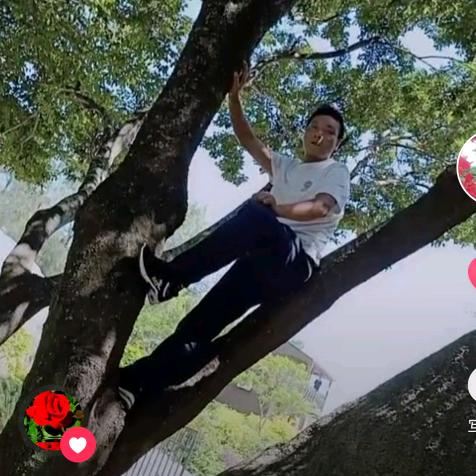 嗨