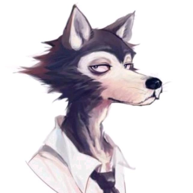 狼哥测评