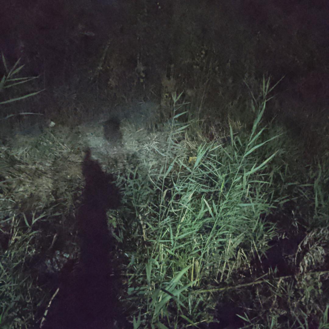 正道是光（613）