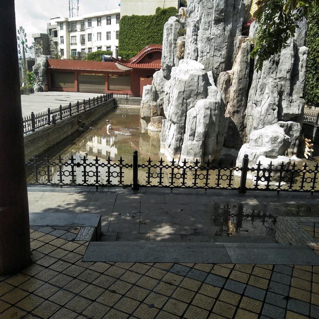勿忘我