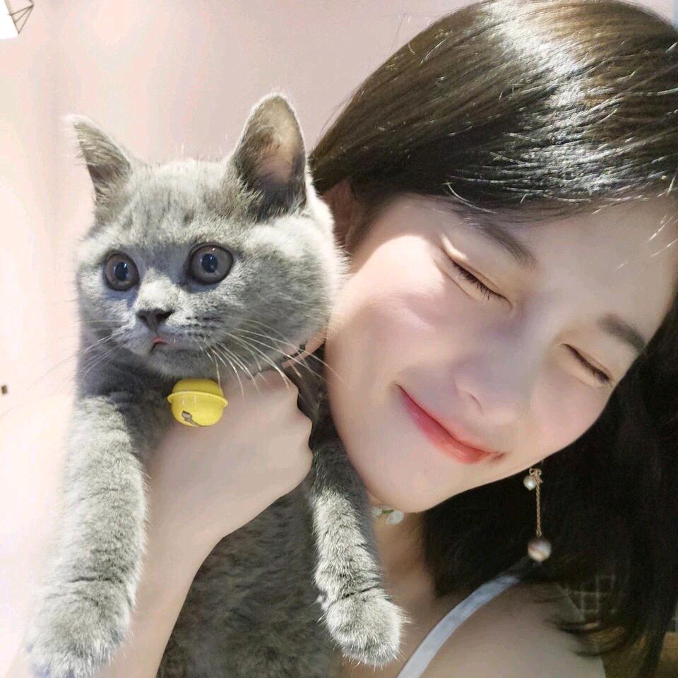贝恩好物分享