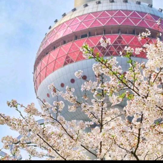 夏梦莫成空！(*˘︶˘*)