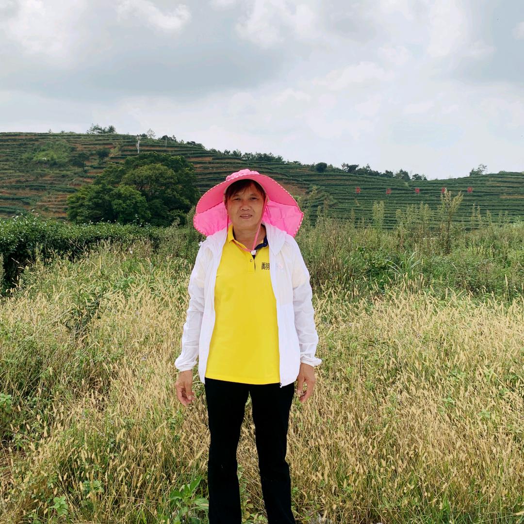 河边草