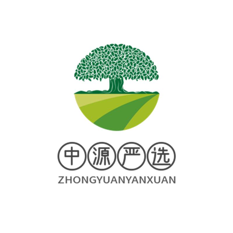 中源_严选