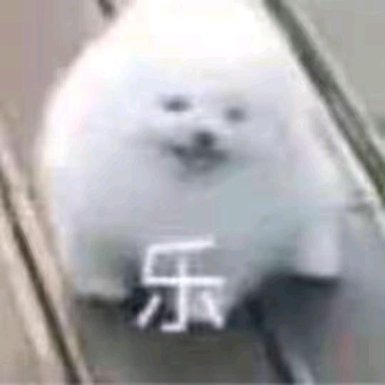 吐槽小兵
